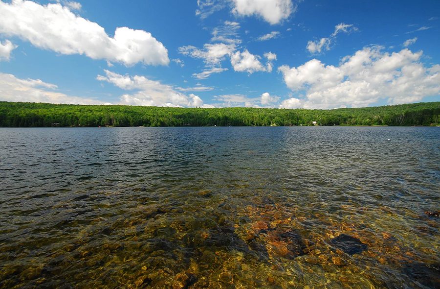 view-lookingright copy